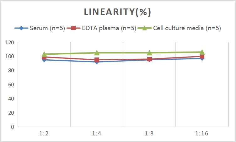 Mini Sample Rat IL-4 (Interleukin 4) ELISA Kit - 2
