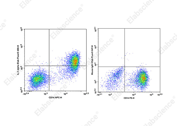 Elab Fluor<sup>®</sup> 647 Anti-Human IL-1 alpha Antibody[364/3B3-14]-searchlist-1