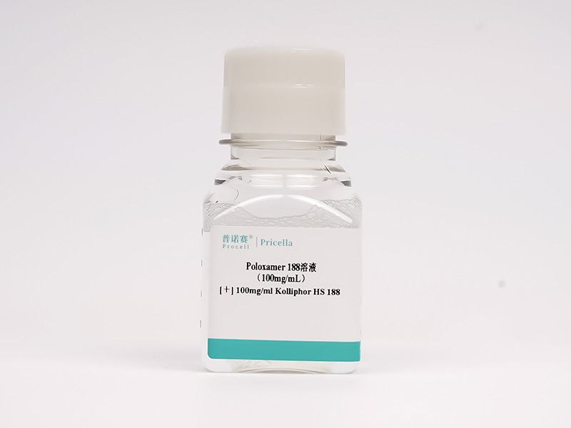 https://789.bio/ec/t1daiS