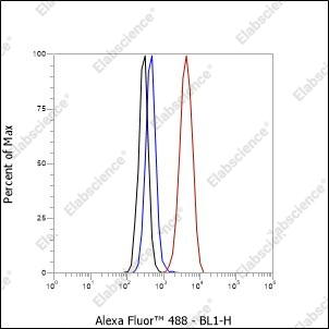 Recombinant GOSR1/GS28 Monoclonal Antibody - 5