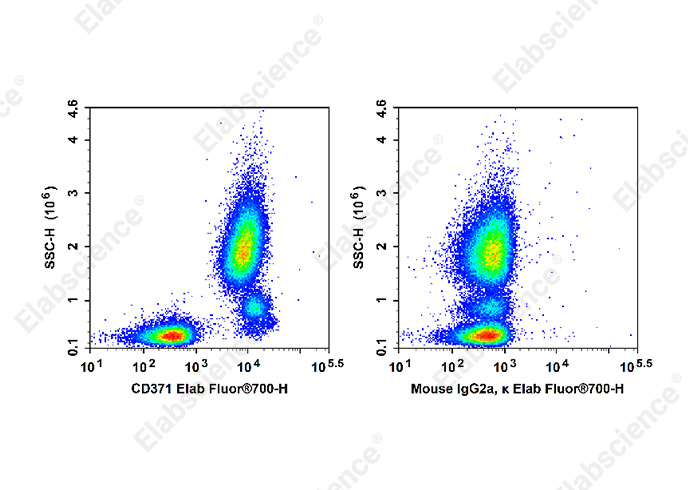 Elab Fluor® 700 Anti-Human CD371 Antibody[50C1]-1
