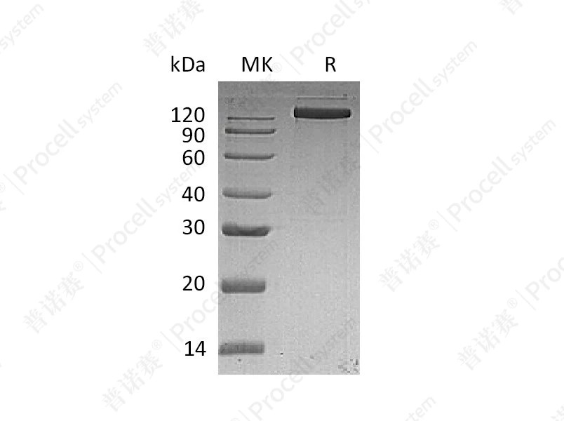 https://789.bio/ec/t9xiPK