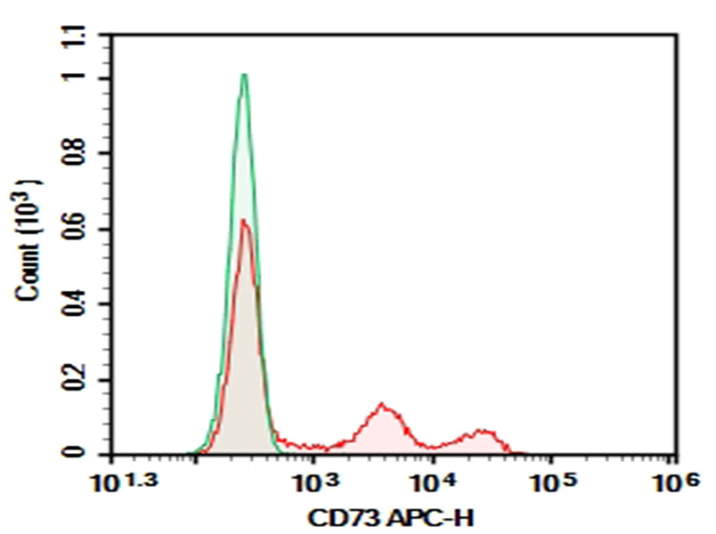 Purified Anti-Human CD73 Antibody[AD2]-1