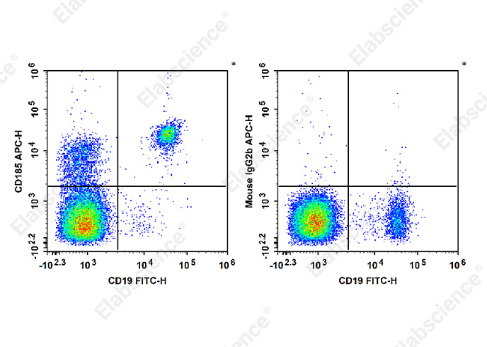 Purified Anti-Human CD276 Antibody[6A1]-产品推荐-1