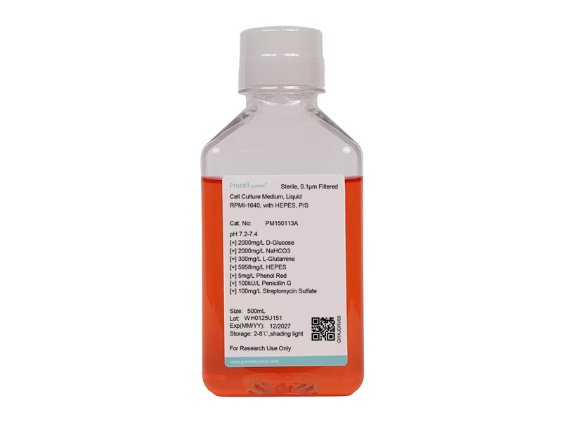 RPMI-1640, with HEPES, P/S