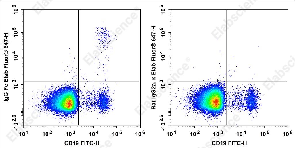 Elab Fluor<sup>®</sup>647 Anti-Human IgG Fc Antibody[M1310G05] - 1