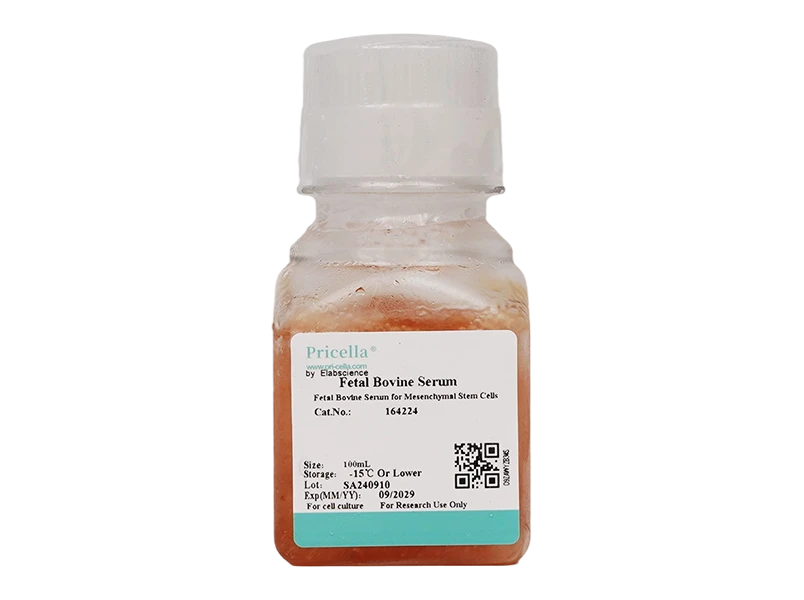 Fetal Bovine Serum for Mesenchymal Stem Cells