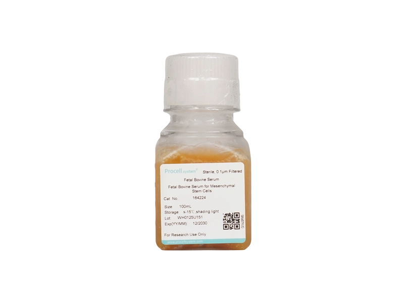 Fetal Bovine Serum for Mesenchymal Stem Cells