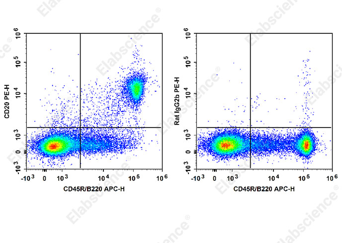 PE Anti-Mouse CD20 Antibody[SA271G2]-1