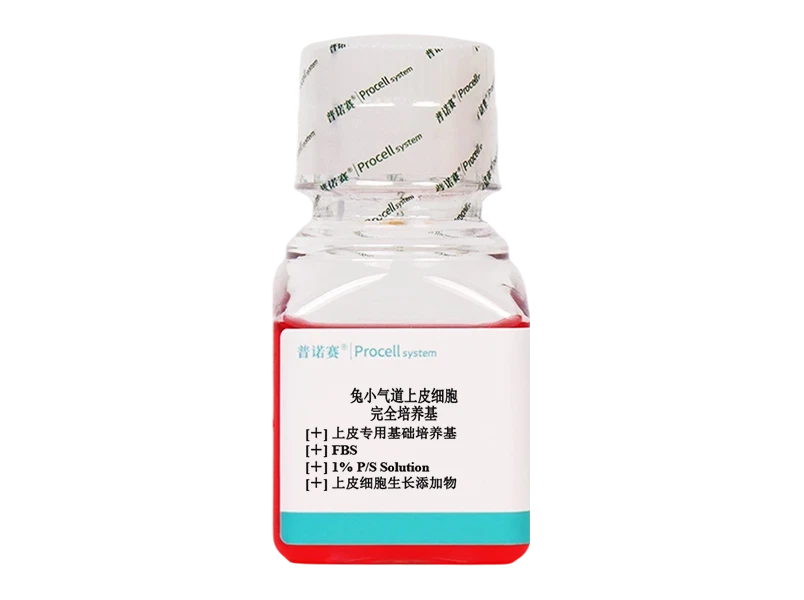 https://789.bio/ec/tZI01ox5