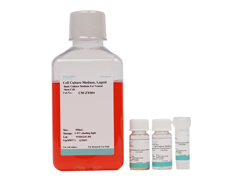 Neural Stem Cell Medium (NSCM)-searchlist-1