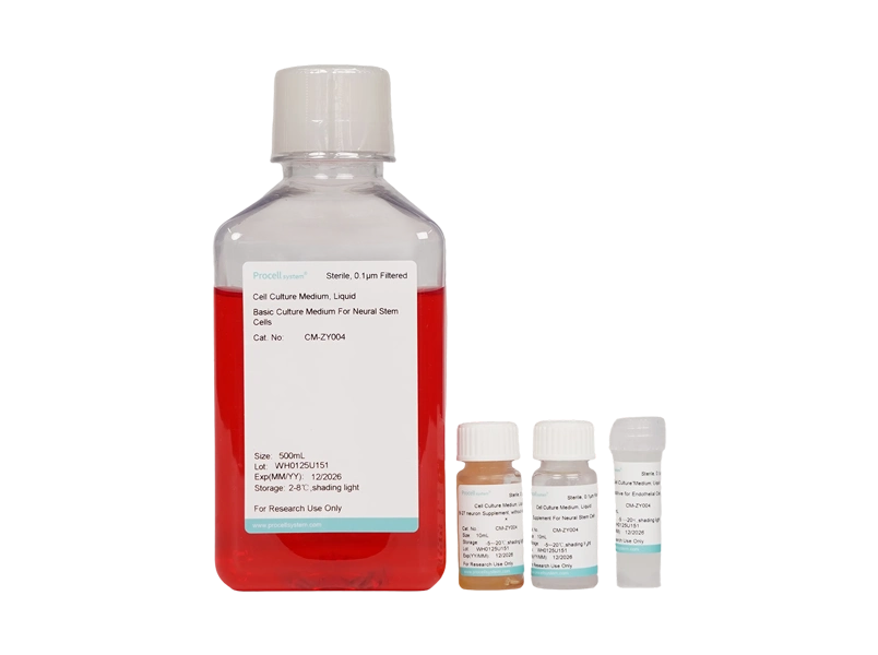 Neural Stem Cell Medium (NSCM)
