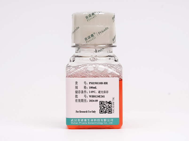 https://789.bio/ec/teLdD8