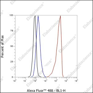 Recombinant Phospho-Tau (Ser199) Monoclonal Antibody - 4