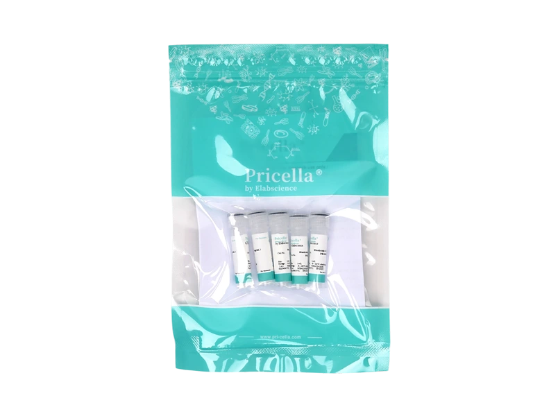 Blasticidin S  (10mg/mL)-searchlist-1
