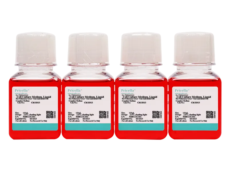 Rat Pulmonary Great  Vein Endothelial Cell Complete Medium - small - 2