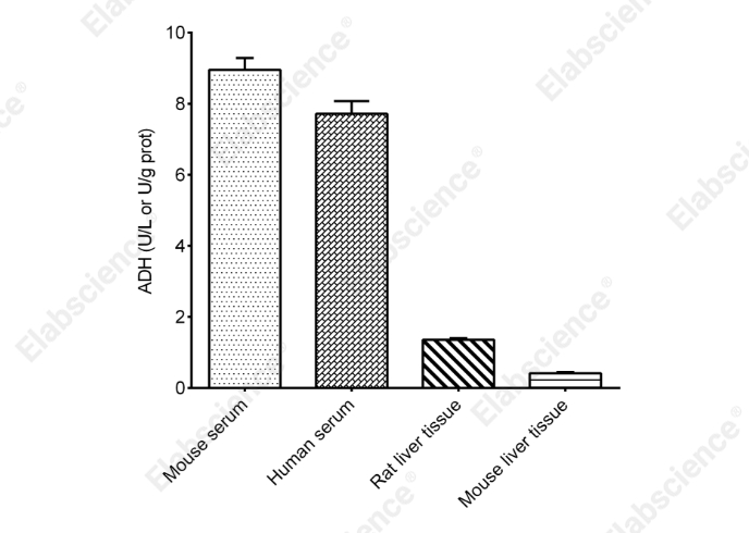 Alcohol Dehydrogenase (ADH) Activity Assay Kit - 2