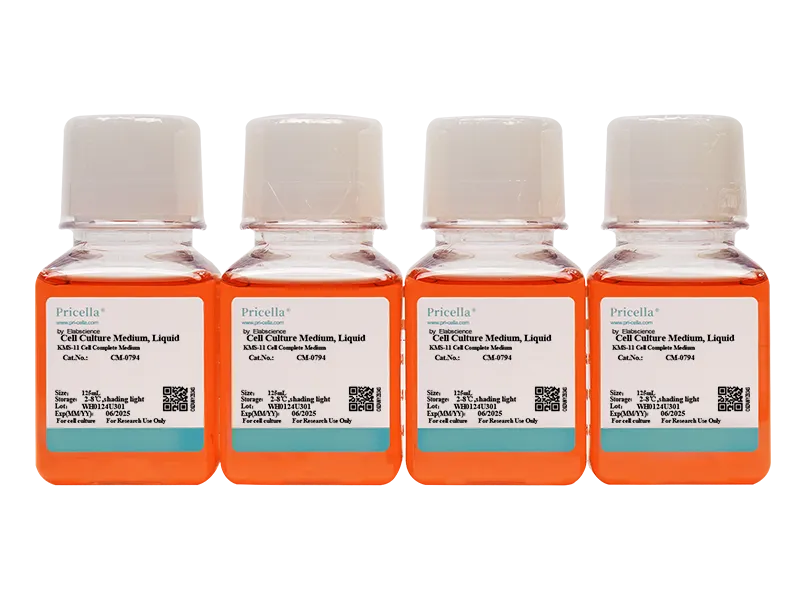 KMS-11 Cell Complete Medium-searchlist-1