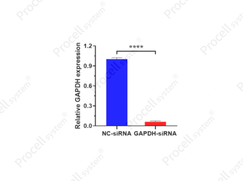 Mergene1000<sup>&reg;</sup> Hep G2 Cell-Specific siRNA Transfection Reagent - 2