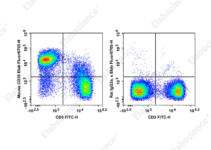 Elab Fluor® 700 Anti-Mouse CD38 Antibody[NIMR5]-1