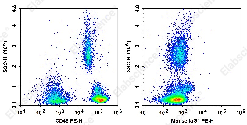 PE Anti-Human CD45 Antibody[BC8] - 1