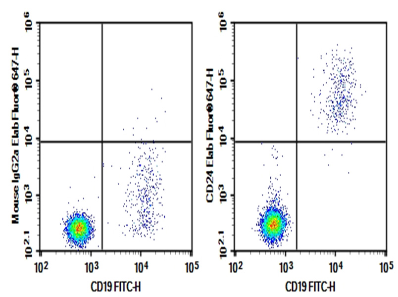 Purified Anti-Human CD19 Antibody[SJ25C1]-产品推荐-1