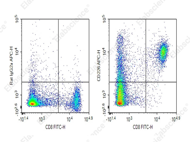 Purified Anti-Mouse CD226 Antibody[480.1] - 1