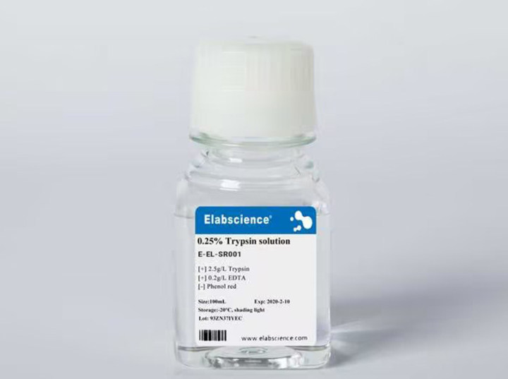 0.25% Trypsin Solution