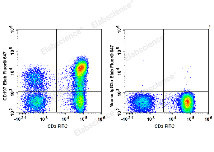 Elab Fluor® 647 Anti-Human CD197/CCR7 Antibody[G043H7]-1