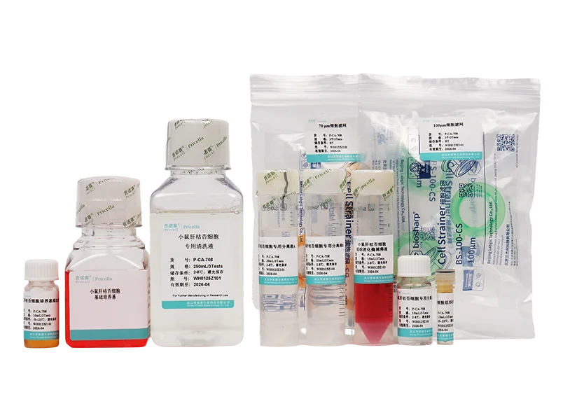 https://789.bio/ec/u1Gxe5