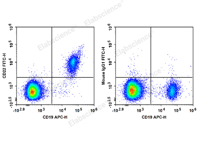 Human peripheral blood lymphocytes are stained with APC Anti-Human CD19 Antibody and FITC Anti-Human CD22 Antibody (Left). Lymphocytes are stained with APC Anti-Human CD19 Antibody and FITC Mouse IgG1, κ Isotype Control (Right).