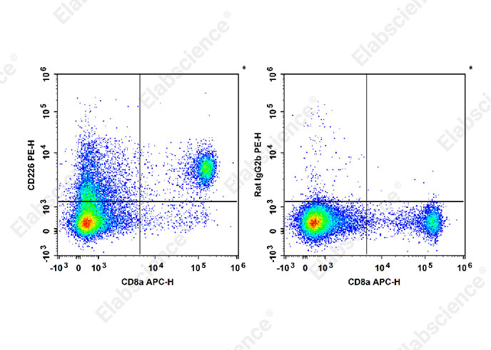 PE Anti-Mouse CD226 Antibody[10E5]-1