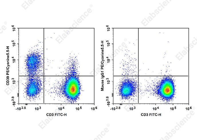PE/Cyanine5.5 Anti-Human CD39 Antibody[A1]-1