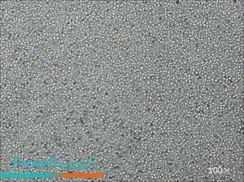 NCI-H929 Cell Complete Medium - 3