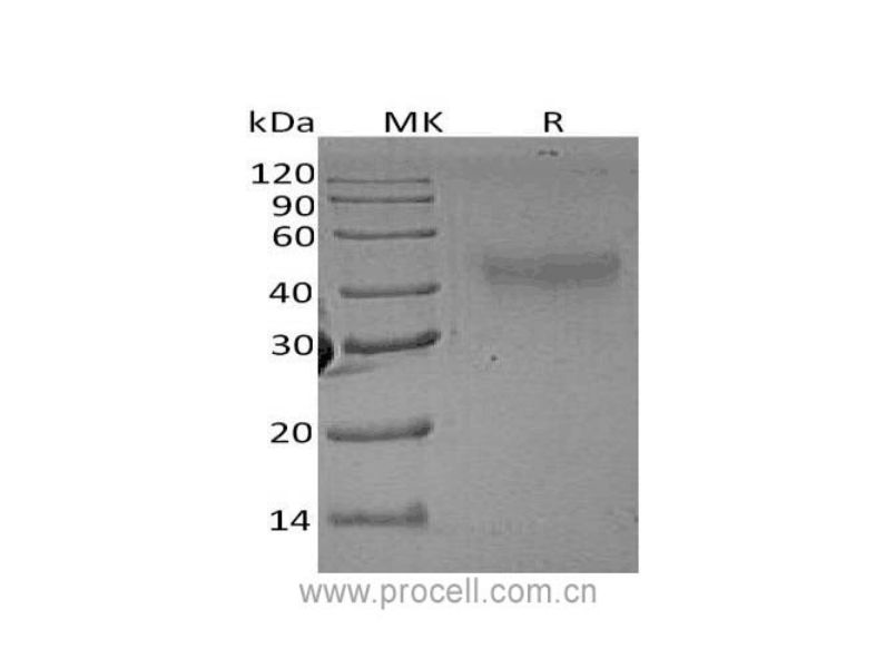 https://789.bio/ec/u5da90