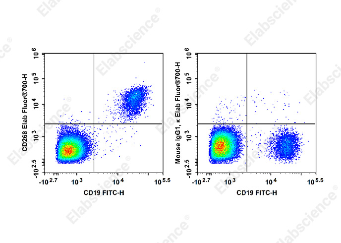 PE/Cyanine5.5 Rat IgG2b, κ Isotype Control[LTF-2]-产品推荐-1
