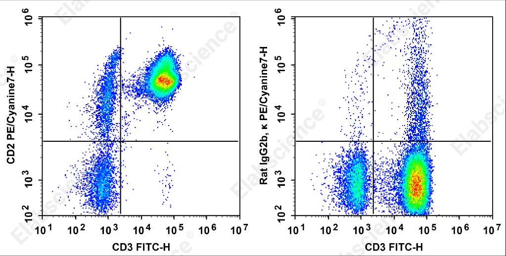 PE/Cyanine 7 Anti-Human CD2 Antibody[LO-CD2a] - 1