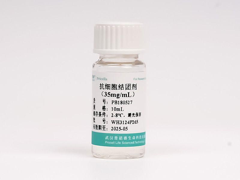 https://789.bio/ec/u90Vm1