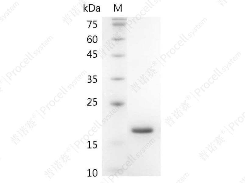 https://789.bio/ec/u9C0V5