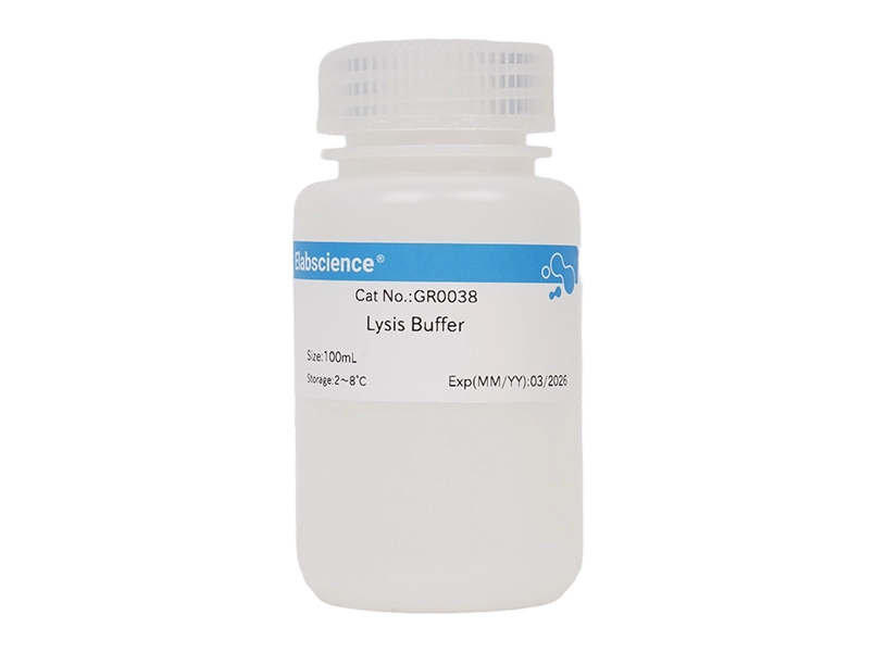 Lysis Buffer