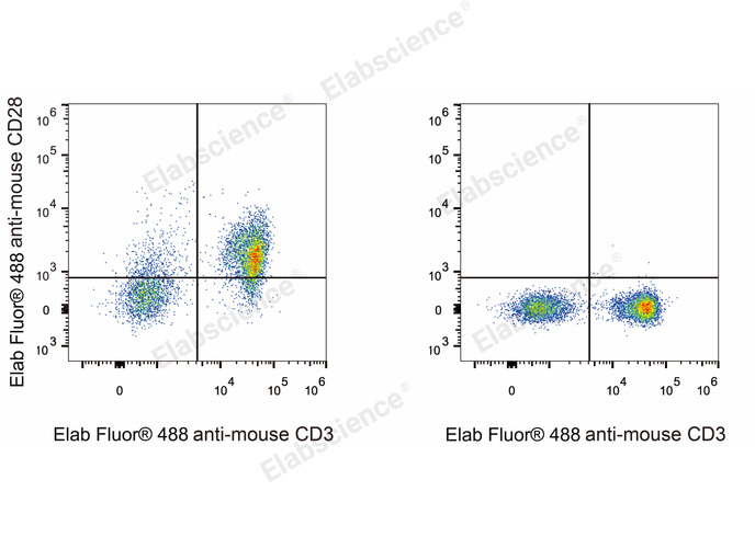 C57BL/6 murine splenocytes are stained with Elab Fluor® 647 Anti-Mouse CD28 Antibody and Elab Fluor® 488 Anti-Mouse CD3 Antibody (Left). Splenocytes stained with Elab Fluor® 488 Anti-Mouse CD3 Antibody (Right) are used as control.