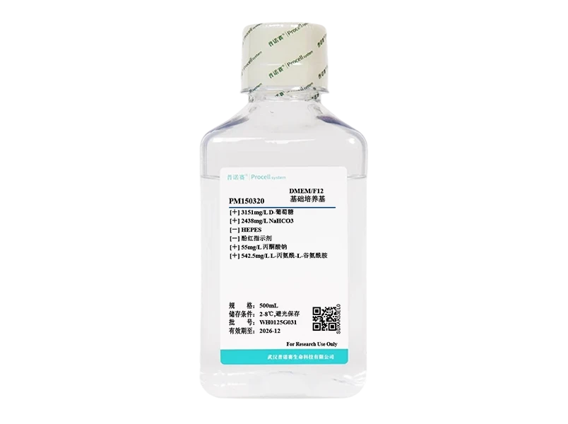 https://789.bio/ec/uAIV675F