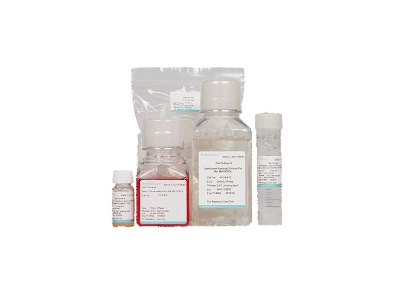 Rat Bone Marrow-Derived Endothelial Progenitor Cell Isolation and Culture Kit - 1