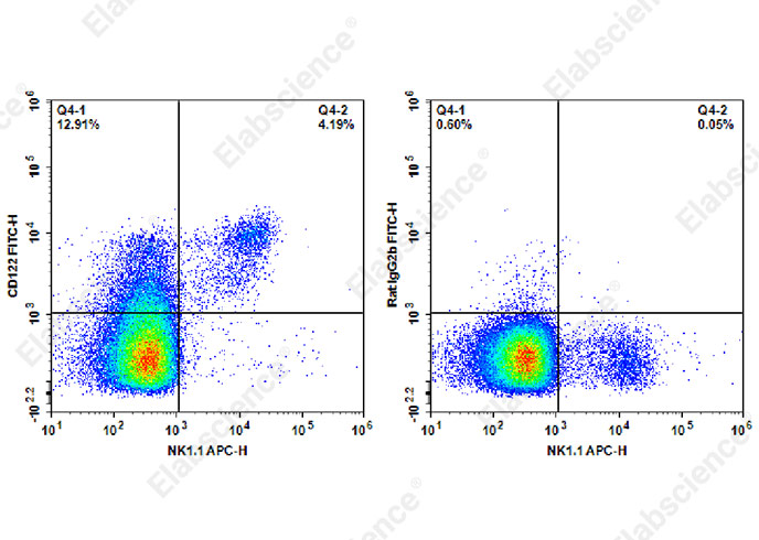 FITC Anti-Mouse CD122 Antibody[TM-Beta 1]-1