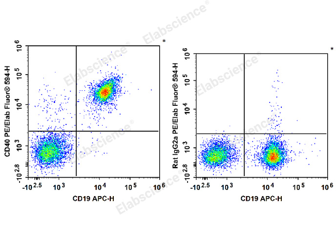 C57BL/6 murine splenocytes are stained with APC Anti-Mouse CD19 Antibody and PE/Elab Fluor® 594 Anti-Mouse CD40 Antibody (Left). Splenocytes are stained with APC Anti-Mouse CD19 Antibody and PE/Elab Fluor® 594 Rat IgG2a, κ Isotype Control (Right).