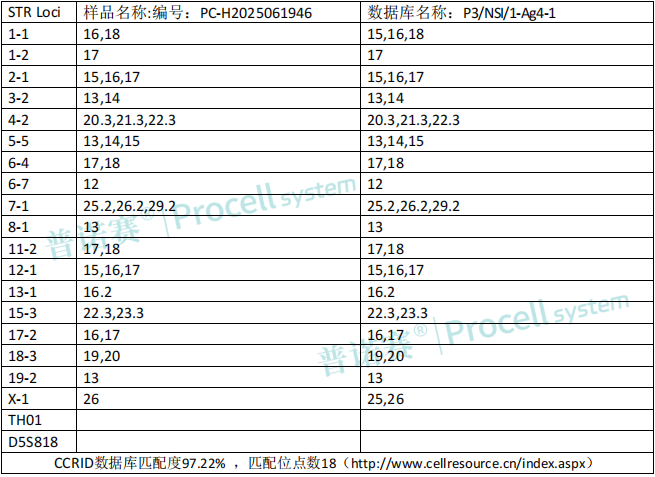photo1