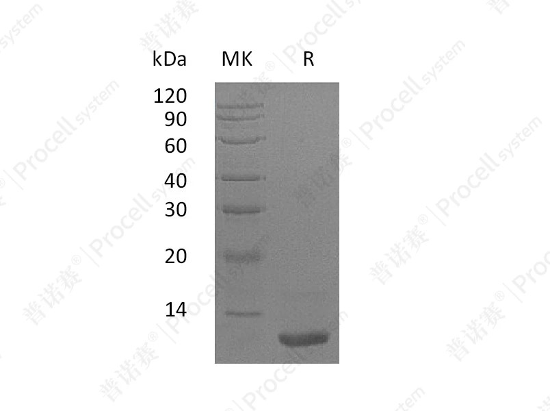 https://789.bio/ec/uDp988