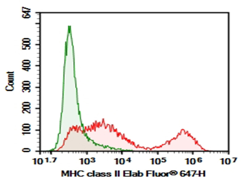 AF/LE Purified Anti-Mouse MHC II (I-A/I-E) Antibody[M5/114]-1