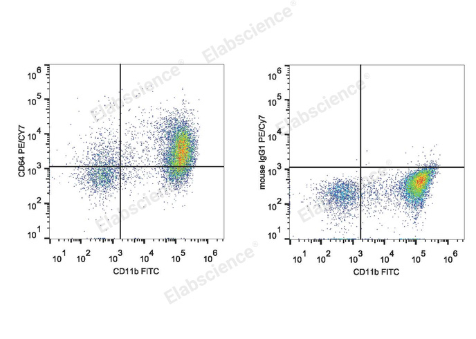 C57BL/6 murine splenocytes are stained with PE/Cyanine7 Anti-Mouse CD64 Antibody and FITC Anti-Mouse CD11b Antibody (Left). Splenocytes stained with FITC Anti-Mouse CD11b Antibody and PE/Cyanine7 Mouse IgG1 Isotype Control (Right) are used as control.