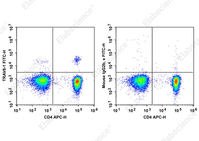 FITC Anti-Human TCRβV 8.1 Antibody[16G8] - 1